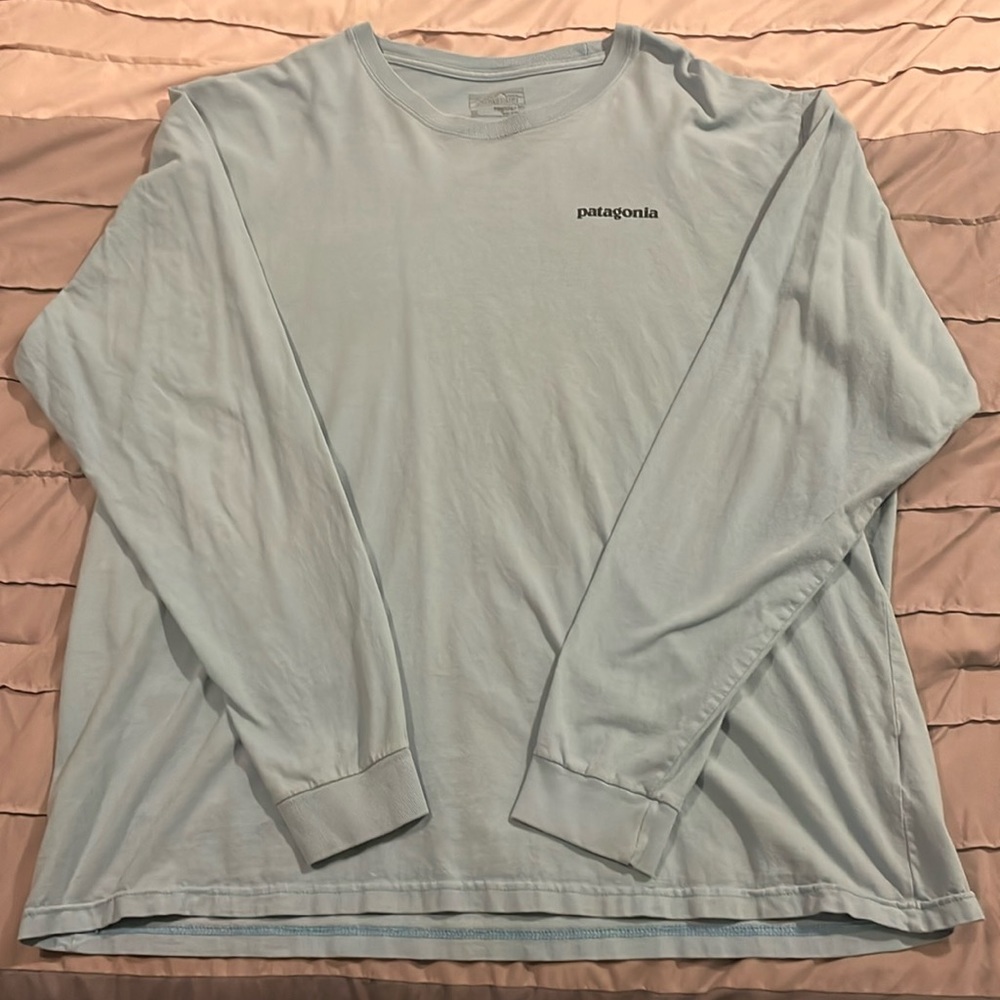 Light blue Patagonia long sleeve